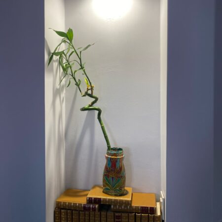 IMG-20250401-WA0037